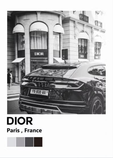 Dior Fashion Poster